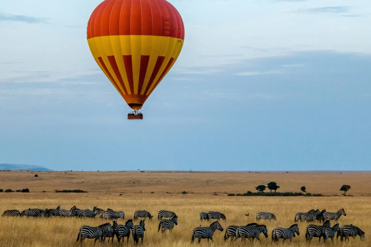 Hot Air Balloon Zebra Herd Namibia — Namibia Reise — Travel Buddies