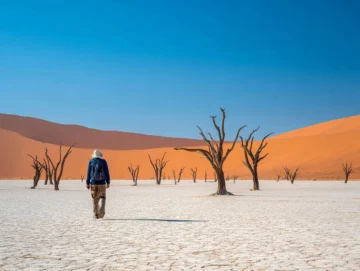 Deadvlei Sossusvlei Namibia — Namibia Reise — Travel Buddies