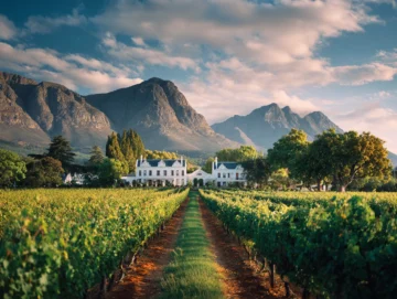 Stellenbosch South Africa — Travel Buddies Individualreise
