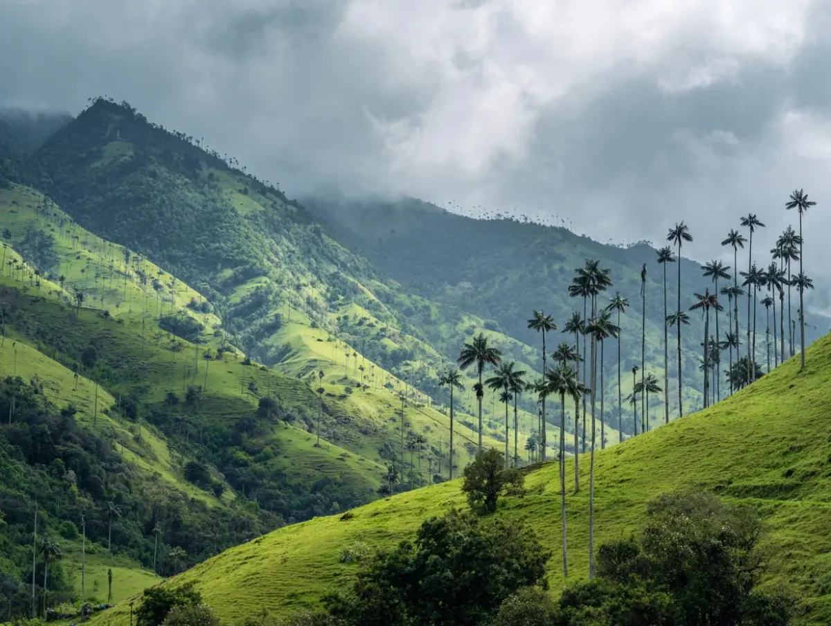 Cocora Valley Colombia — Kolumbien Reise — Travel Buddies