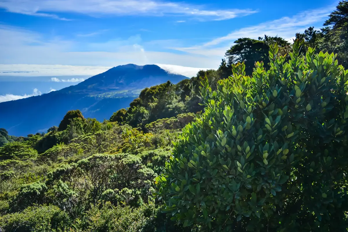 Costa Rica — Costa Rica Reise — Travel Buddies