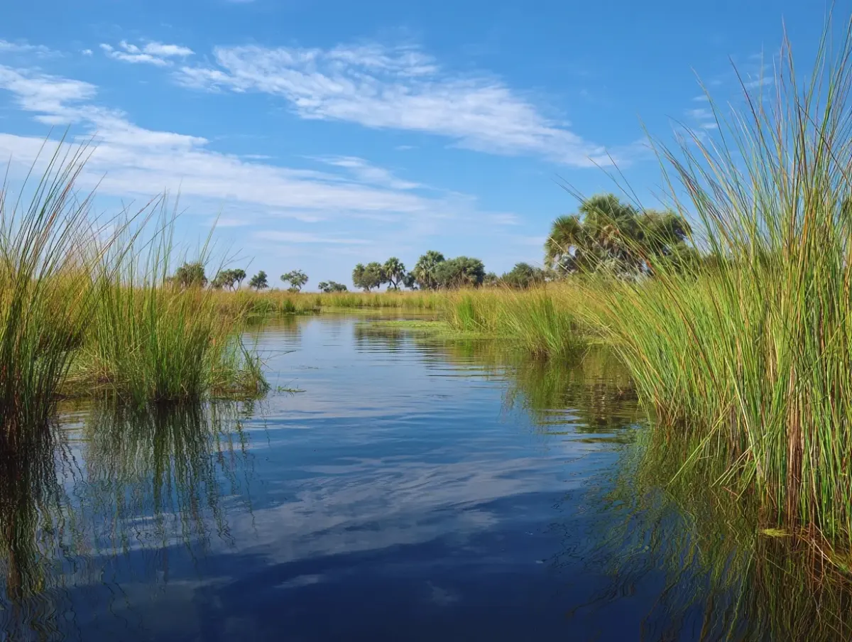 Okavango Botswana — Botswana Reise — Travel Buddies